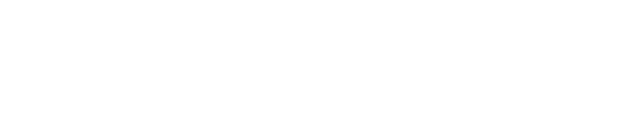 kidzdam